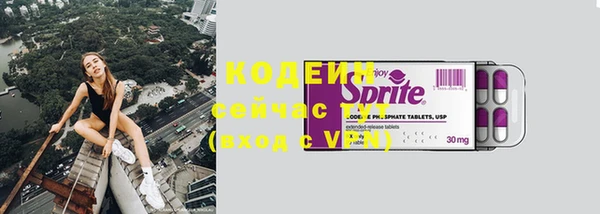 дмт Мегион
