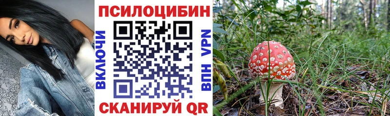 Псилоцибиновые грибы Cubensis  shop клад  Мичуринск  закладки 